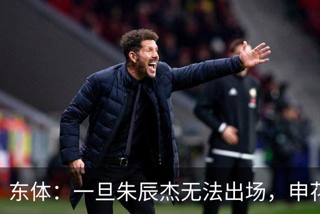 东体：一旦朱辰杰无法出场，申花真正意义的中卫只有杨帅和李松益